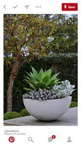 Pin By Rita Keymeulen On Garden Potted Plants Outdoor Garden Plant Pots Plants