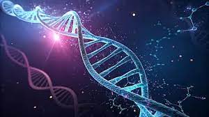 Hình nền Các Vòng Xoắn Dna Với Các Nucleotide Phát Sáng Trên Nền Tối, Xoắn  Dna, Nucleotide Phát Sáng, Cấu Trúc Dna Background Vector để tải xuống miễn  phí - Pngtree