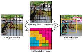 Yolo Object Detection With Opencv Pyimagesearch