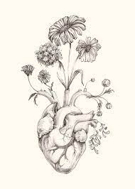 Heart with banner and rose drawings. 8x10 Print Of Original Drawing Blooming Etsy Drawings Original Drawing Heart Drawing