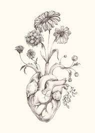Firing up the arts within the community through private & group dance lessons, fine art, music, and events. 8x10 Print Of Original Drawing Blooming Heart Graphite Art Anatomy Floral Heart Valentine Original Drawing Heart Drawing Drawings