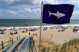 authorities search waters off east sandwich beach after