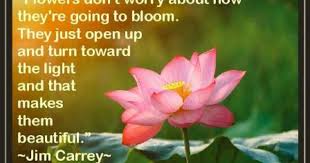Flowers Don T Worry About How They Re Going To Bloom They Just Open Up And Turn Toward The Light And That Mak Jim Carrey Quotes Flower Quotes Wonderful Words