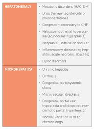 What To Do If You Suspect Liver Disease Veterinary Practice