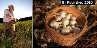 Site prep is most important one yr in advance. The Cult Of Garlic Cloves The New York Times