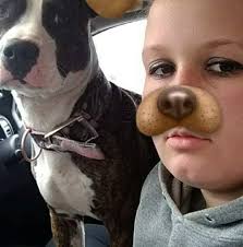 Missing dog named Beauty in Victor Valley