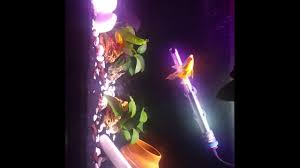 Akvaryum Bitki Yetistirme Ledi Grow Lights Led Plant Hydroponic Bitki Led Akvaryum