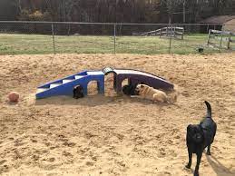 Keep up the good work, you're all very appreciated for the work you do �this is something that happened. Happy Tails Pet Resort 35 Photos 20 Reviews Pet Boarding 965 Generals Hwy Crownsville Md United States Phone Number Yelp