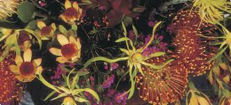 (03) 9005 1755 western australia perth wa: Flowers Giving The Market What It Wants Agriculture And Food