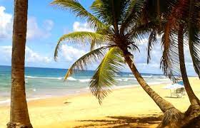 Pousada praia do flamengo, que ofrece un servicio de transporte al aeropuerto internacional deputado luís eduardo magalhães y acceso a ¿cuál es la mejor manera para llegar a pousada praia do flamengo salvador bahia desde salvador de bahía? Praia Do Flamengo Em Salvador 2021 Dicas Incriveis
