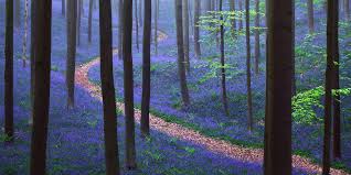 Epingle Sur Beaux Paysages