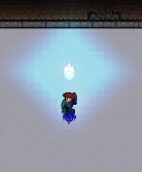 Category Light Pet Items The Official Terraria Wiki