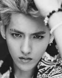 Kris wu yifan was invited to the met gala as one of two male celebrities representing china with chen kun. Kris Exo Wiki Fandom