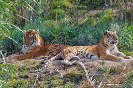 افريكا بارك Africa Park Home Facebook