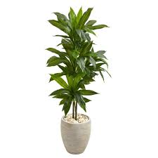 Nearly Natural Real Touch 4 Ft Indoor Dracaena Artificial Plant In Sand Planter In 2020 Dracaena Plant Faux Plants Artificial Foliage