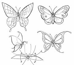 Vous apprendrez dans ce cours de dessin facile et gratuit à dessiner un chaton en quelques étapes seulement ! 1001 Idees De Dessin De Papillon Pour S Inspirer Et Apprendre Comment Le Dessiner En 2020 Dessin Papillon Comment Dessiner Une Fleur Croquis De Fleurs