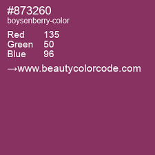 Boysenberry 873260 Hex Color Code Deep Magenta Pink Deep Rose
