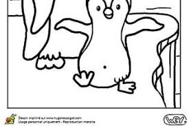 Coloriage Bebe Pingouin Et Maman Pingouin Coloriage Coloriage Bebe Coloriage Camion Pompier