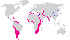 Sleeping small to large groups, signature living hotel's luxury rooms offer spacious, flexible. Map Of The Global Distribution Of Flamingo Habitats And Haloarchaeal Download Scientific Diagram