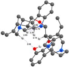 Image result for Strychnos matopensis