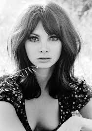 杀戮屋的摇滚乐_购票_剧情介绍_演职人员_图集-猫眼电影