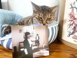 陰陽座 黒猫のねこまんまRADIO|陰陽座 黒猫のねこまんまRADIO 第24夜|AuDee（オーディー） | 音声コンテンツプラットフォーム