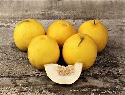 Image result for Cucumis melo