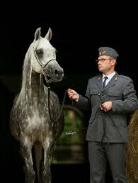 PRIDE OF POLAND JANÓW PODLASKI 13th -14th AUGUST 2017