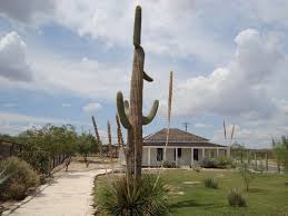 La cantra has some high end shopping if that is your thing. Judge Roy Bean S Law West Of The Pecos In Langtry Tx With A Saguaro Cactus Rare East Of The Sonora Desert