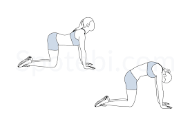 True form increases health, attack power and recharge time. Back Stretch Illustrated Exercise Guide