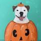 Spooky Paws & Paint Night event image