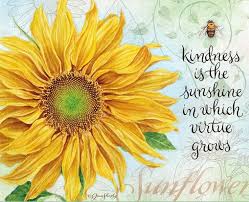 Image Result For Kindness And Flower Quotes Flower Quotes Sunflower Quotes Sunflower Pictures