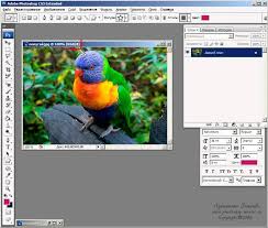 как вырезать объект и вставить на другой фон в фотошопе Urok 4 Fotoshop S Nulya Ot Zinaidy Lukyanovoj Programma Adobe Photoshop Professionalnaya Fotografiya Obuchenie