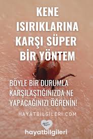 Kene Isiriklarina Karsi Super Bir Yontem 2020 Dogal Saglik Saglik Saglikli Yasam