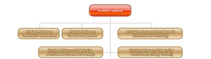 Organization Chart