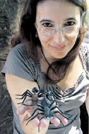 Siempre hay una hormiga en el medio"