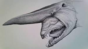 Goblin Shark Drawing At Paintingvalley Com Explore Collection Of Goblin Shark Drawing Another deep sea animal that has a jaw that will detach and lunge forward to snatch prey out the jaw action on this goblin shark. painting valley