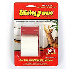 They don't scratch to disturb you; Best Products To Stop Your Cat From Scratching Your Furniture In 2021