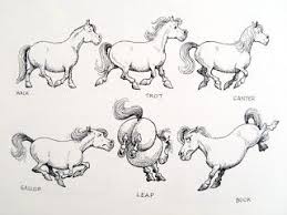 Flying Pony Studios How To Draw Ponies By Thelwell Horse Cartoon Horse Illustration Horse Drawings