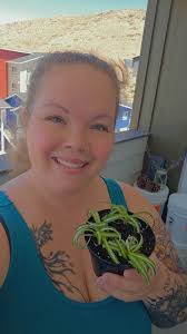 Baby Curly Bambino's 💚🪴