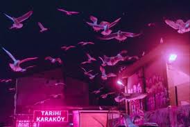 Diese farbe kommt auch in der natur. Tumblr Oyjssqgse91tk8zawo1 500 Rosa Farbe Foto 41144379 Fanpop