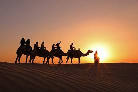 Camel ride with us !!! Abu Dhabi Sunset Camel Trek And Bbq Dinner With Shows 2021