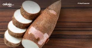 Singkong atau ubi kayu atau yang dikenal juga dengan nama ketela pohon merupakan tanaman manfaat singkong. 8 Ide Bisnis Kuliner Dari Olahan Singkong Beserta Resep Membuatnya