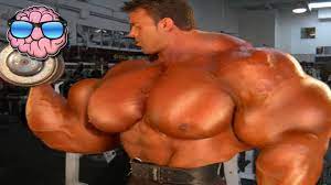 Mans world casual zum kleinen preis. Top 10 Strongest Men In The World Youtube