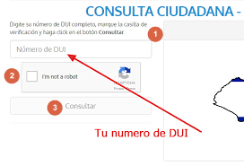 Consulta en dónde te toca votar, aquí. Donde Me Toca Votar 2018 Consulta El Salvador