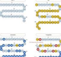 The structures of fatty acid side chains of liraglutide and ...