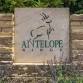 Antelope Ridge Holiday Craft Show event image