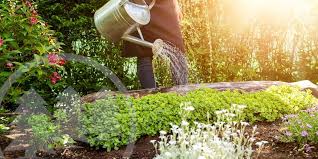 There is not always a straight forward answer to it. 9 Hoa Springtime Landscaping Rules For The Community Cmg