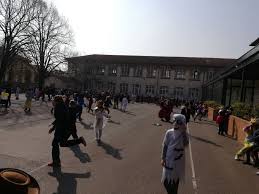 Ecole Elementaire Raspail De Maisons Alfort Le Carnaval A Raspail
