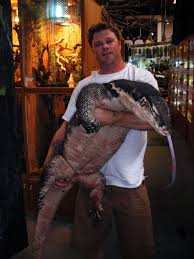 The size of a monitor lizard varies entirely according to their species. Monitor Lizards Have Enormous Ranges In Sizes Just Like The Members Of Dinosaur Families Monitor Lizard Reptiles Pet Lizard